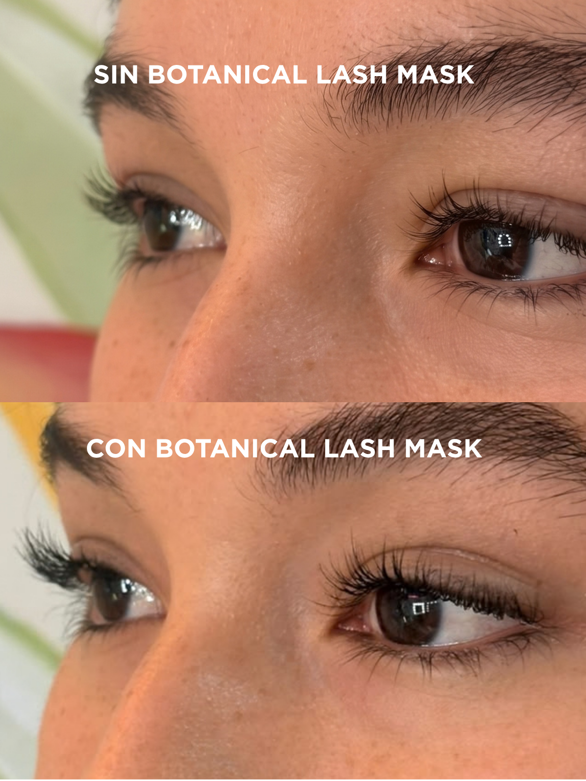 Botanical Lash Mask - Gallery 2
