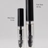 Lashes & Brows Mini