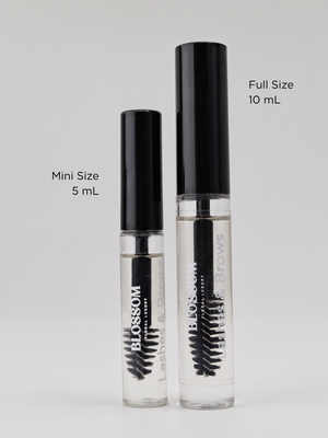 Lashes & Brows Mini