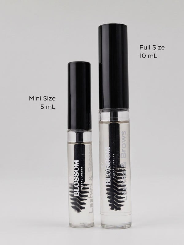 Lashes & Brows Mini