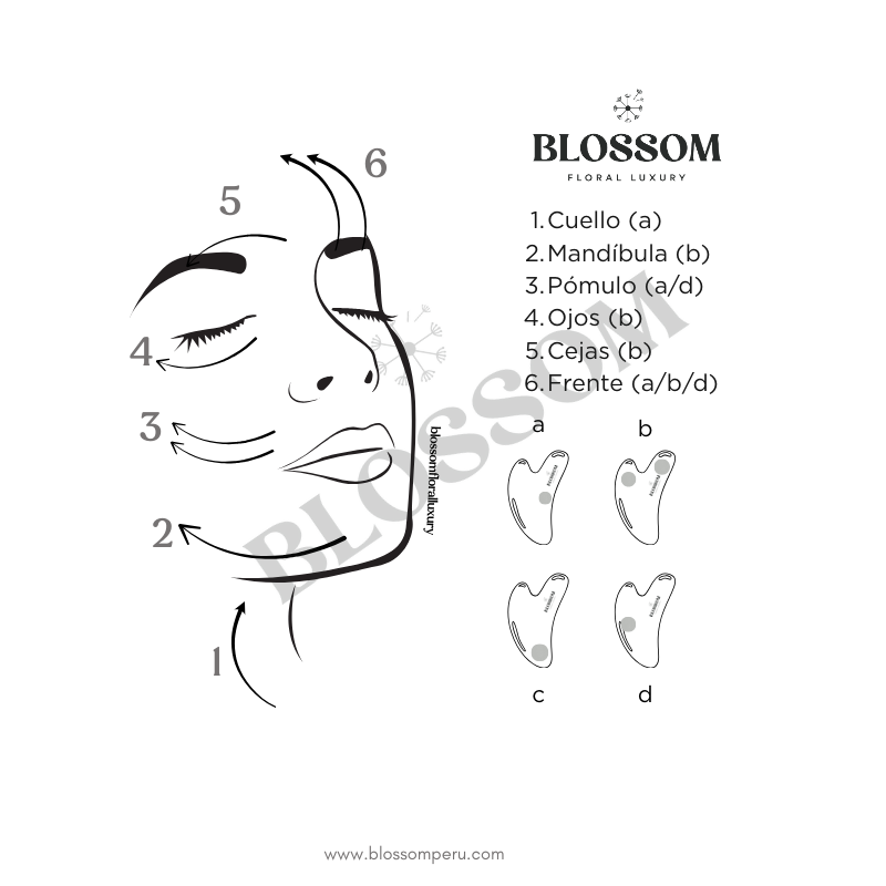 Blossom Guasha PRO - Gallery 3