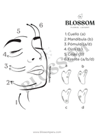 Blossom Guasha PRO - Thumbnail 3