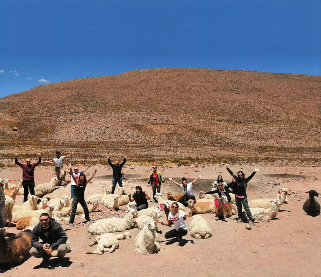 e09fac9a-a809-4ada-b29f-8fd392f9f9a6_Original